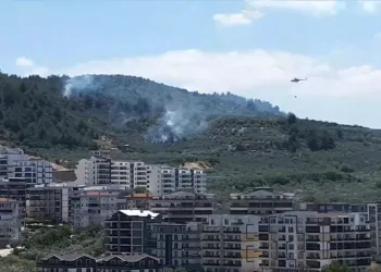 Bursa Mudanya’da zeytinlik alanda yangın