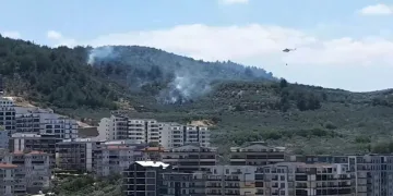 Bursa Mudanya’da zeytinlik alanda yangın