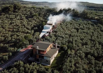 Bursa’da çiftlik yangınında hayvanlar telef oldu