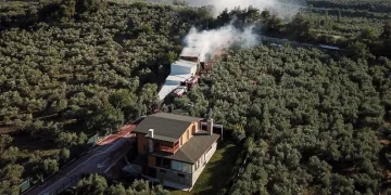 Bursa’da çiftlik yangınında hayvanlar telef oldu
