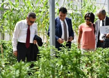 Ata mirası Osmangazi’de yeşeriyor