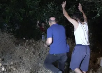 Mahalle ayağa kalktı! Otların arasında yakalandı