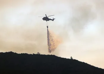 Datça’da yangına müdahale yeniden başladı