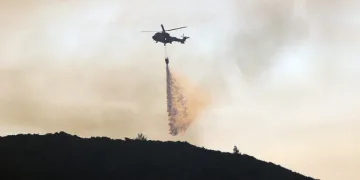 Datça’da yangına müdahale yeniden başladı