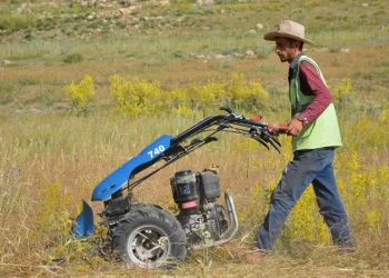 Şırnak’ta besicilerin kış mesaisi başladı