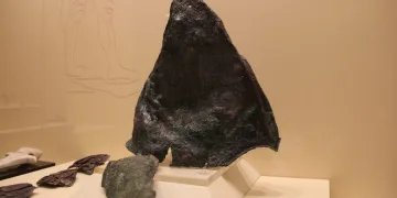 Çorum’da bulundu! Paha biçilemiyor