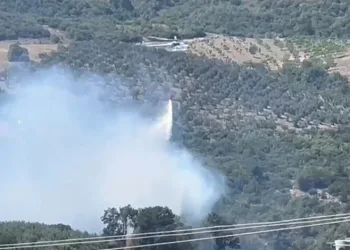 Bursa’da orman yangını kontrol altında