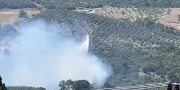 Bursa’da orman yangını kontrol altında