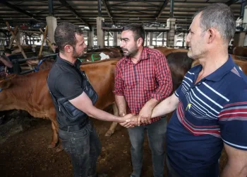 Bursa’da kurbanlıklar için son pazarlıklar yapılıyor