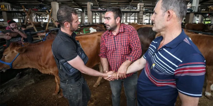 Bursa’da kurbanlıklar için son pazarlıklar yapılıyor