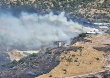 Bergama’daki yangın süt işletme tesisine sıçradı