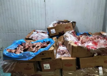 Tarihi geçmiş tavukları satamadan yakalandılar