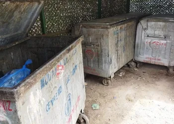 Mudanya’da karasineğin nedeni ihmal