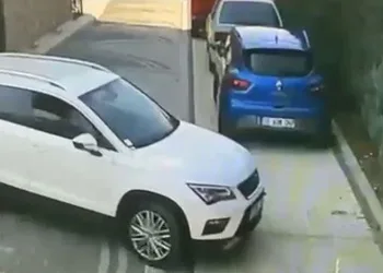 Bursa’da ezdiği köpeğe aldırmadan aracını park etti