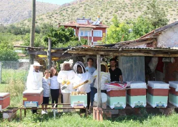 Aile boyu arıcılık
