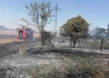 Sigara izmariti yangına sebep oldu