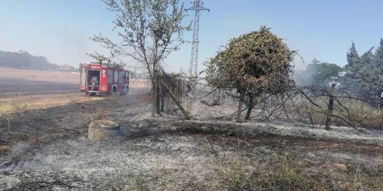 Sigara izmariti yangına sebep oldu