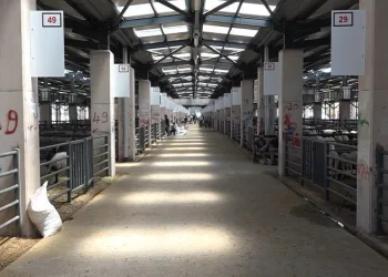 Osmangazi’de kurban kesim yerleri belli oldu