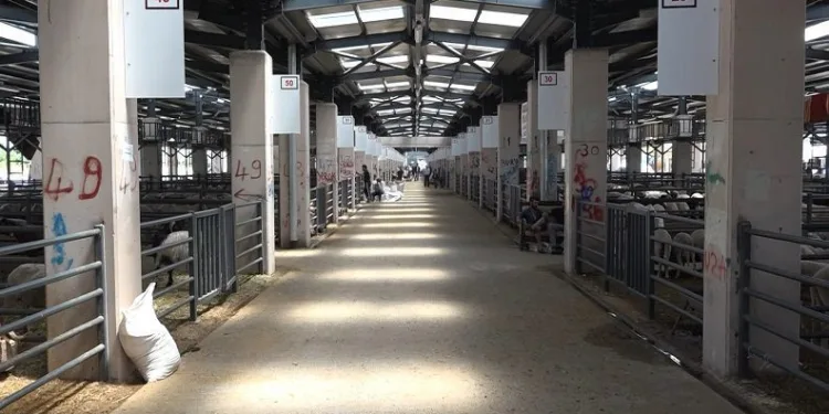 Osmangazi’de kurban kesim yerleri belli oldu