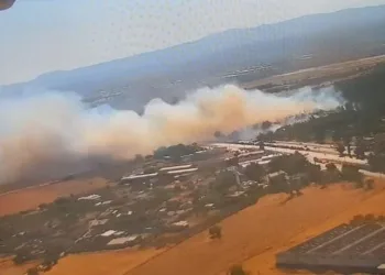 İzmir’de orman yangını