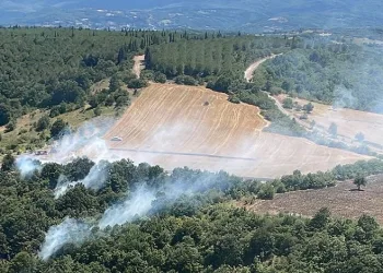 Mustafakemalpaşa’da orman yangını