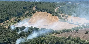 Mustafakemalpaşa’da orman yangını
