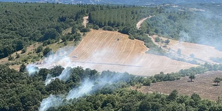 Mustafakemalpaşa’da orman yangını
