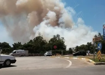 Antalya’da orman yangını