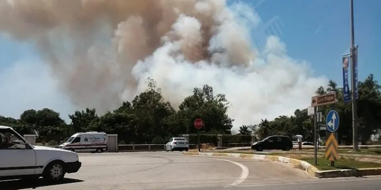 Antalya’da orman yangını