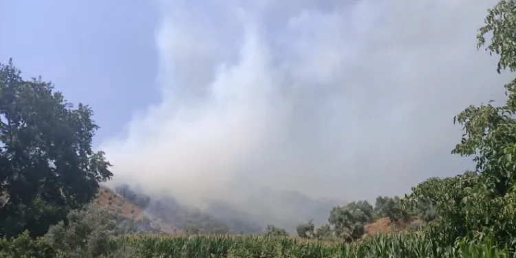 İzmir’de ormanlık alanda yangın