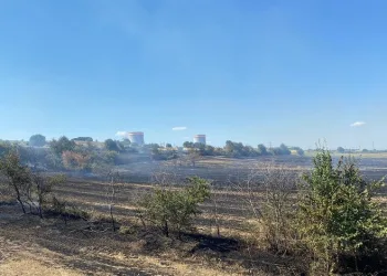 Kırklareli’nde 150 dekar alan yangında zarar gördü