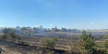 Kırklareli’nde 150 dekar alan yangında zarar gördü