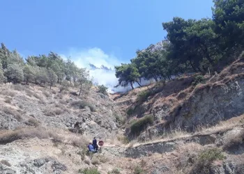 Hatay’da makilik alanda yangın