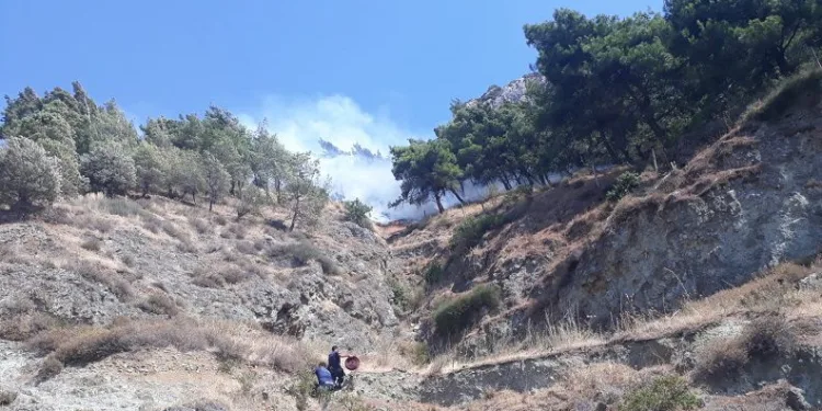 Hatay’da makilik alanda yangın