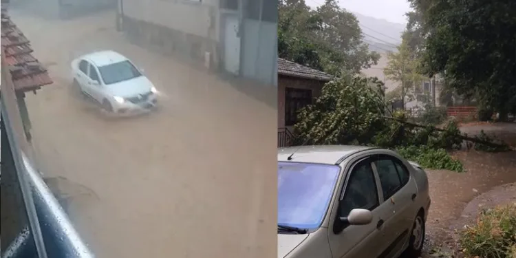 Bursa’da sağanak! Ağaçlar devrildi, sokaklar suyla doldu