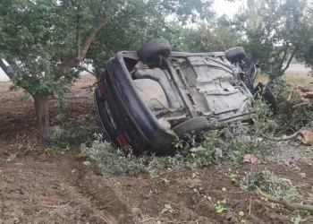 Bursa’da otomobil zeytinliğe devrildi