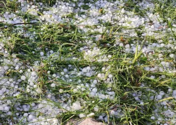 Bilecik’teki sağanak ve dolu tarım arazilerine zarar verdi