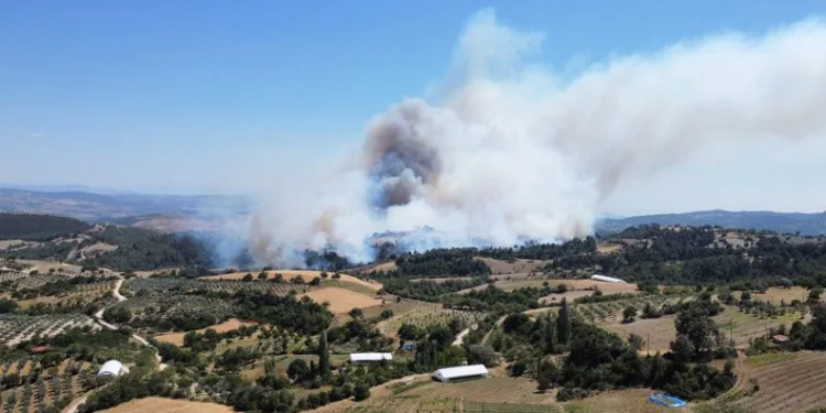 Manisa’daki yangın buğday tarlasında başlamış
