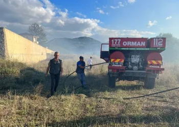 Bursa’da meralık alanda yangın