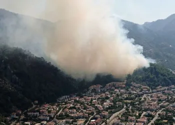 Marmaris’te orman yangını