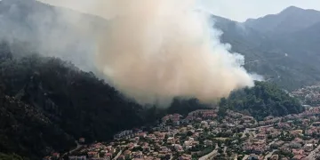 Marmaris’te orman yangını