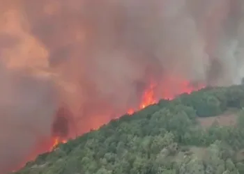 Slovenya’da orman yangını: 4 köy tahliye edildi