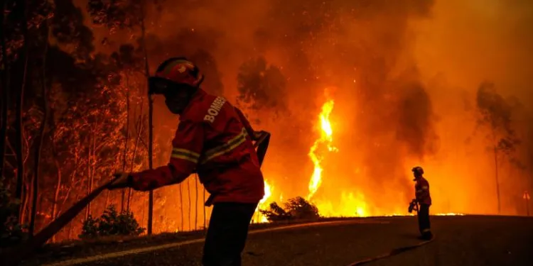 Portekiz’de 14 noktada orman yangını
