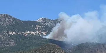 Datça’da orman yangını