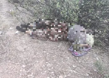 Kayıp olarak aranıyordu! Acı haberi geldi