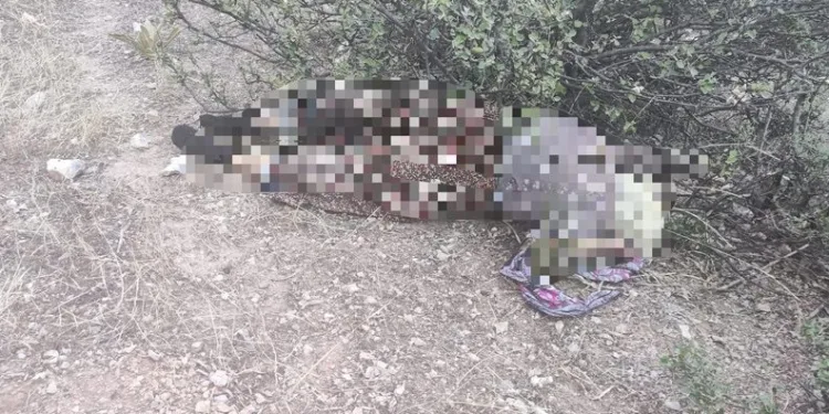 Kayıp olarak aranıyordu! Acı haberi geldi