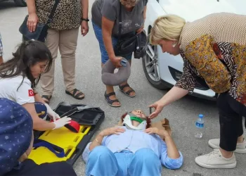 Bursa’da parkta yürüyen kadına araba çarptı