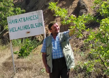 Bursa’da bu bahçeden meyve koparmak serbest
