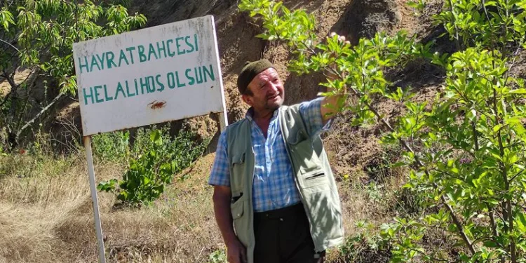Bursa’da bu bahçeden meyve koparmak serbest