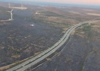 Çeşme yangınları kısmi kontrol altında
